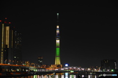 グリーンのツリー