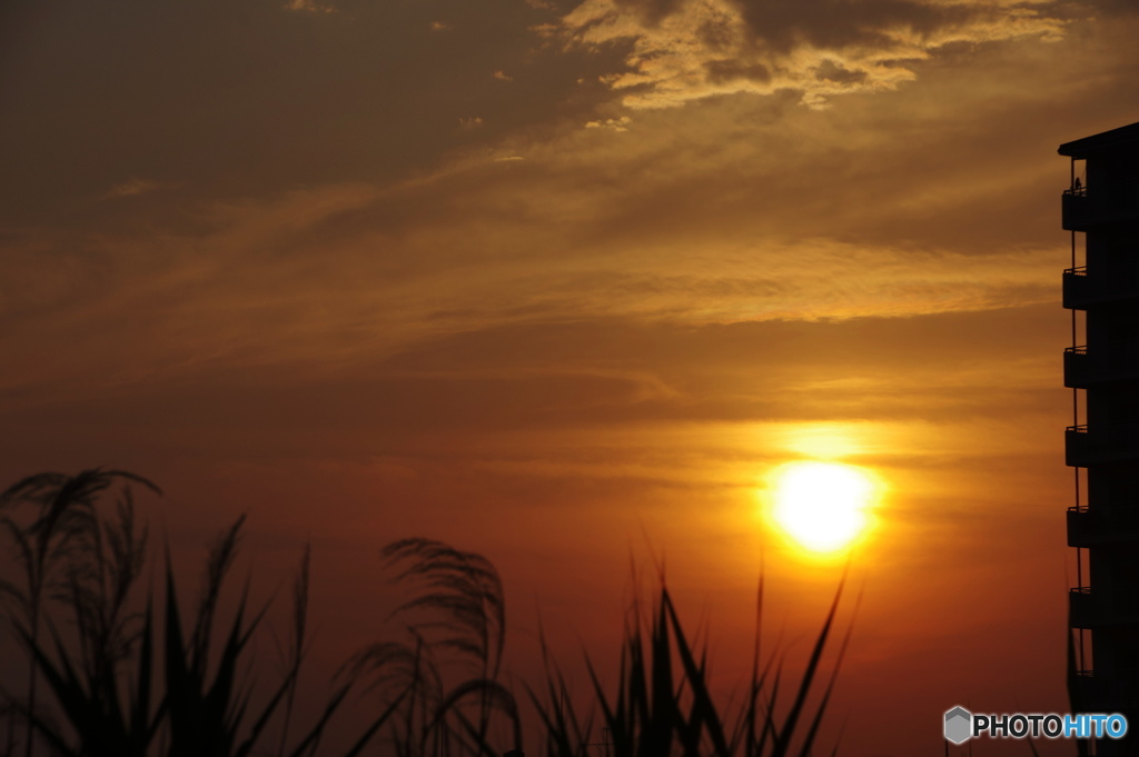 昨夕ー②