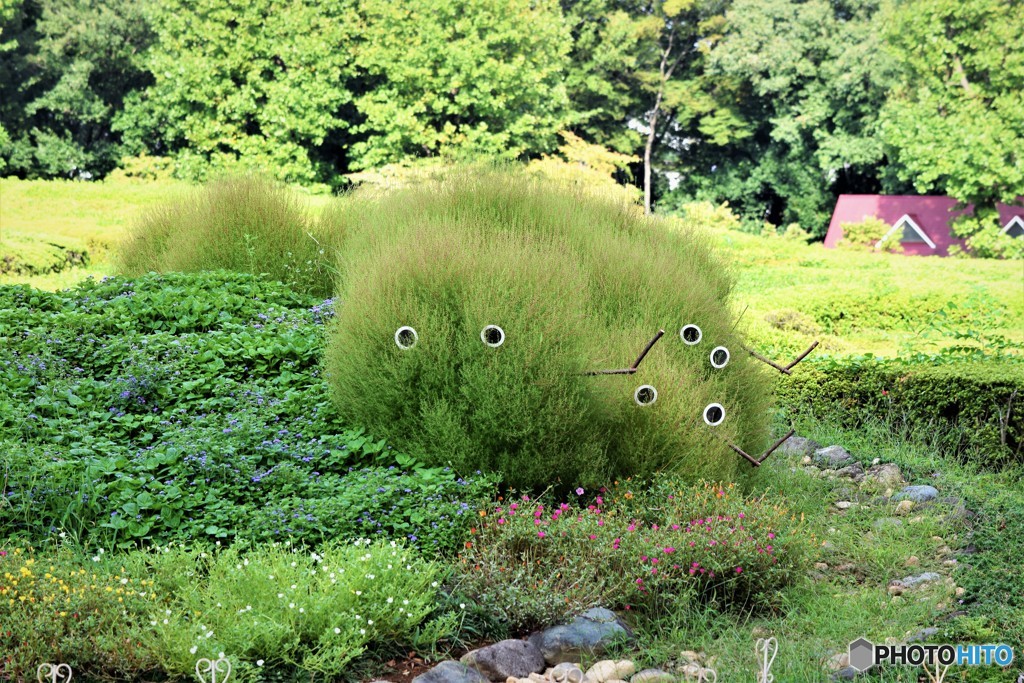 川口市立グリーンセンター⑩