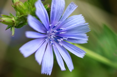 夏への階段ー２