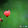 心の平穏～ⅱ