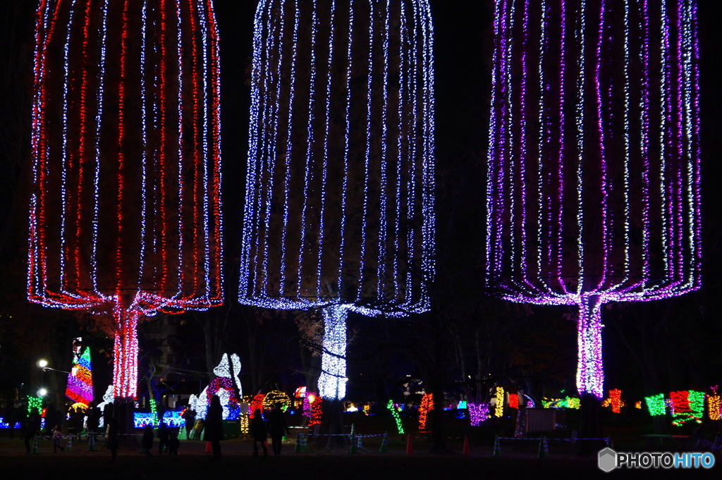 光の祭典ー⑩