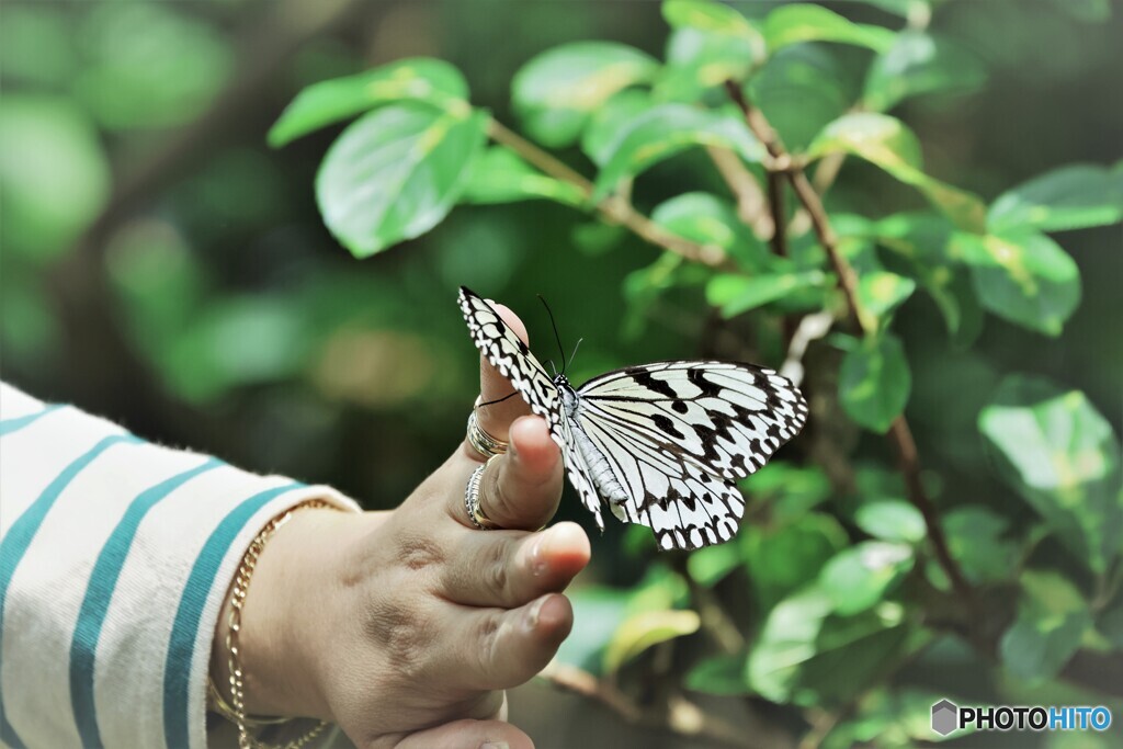 2023生物園＝Ⅱ～ⅵ