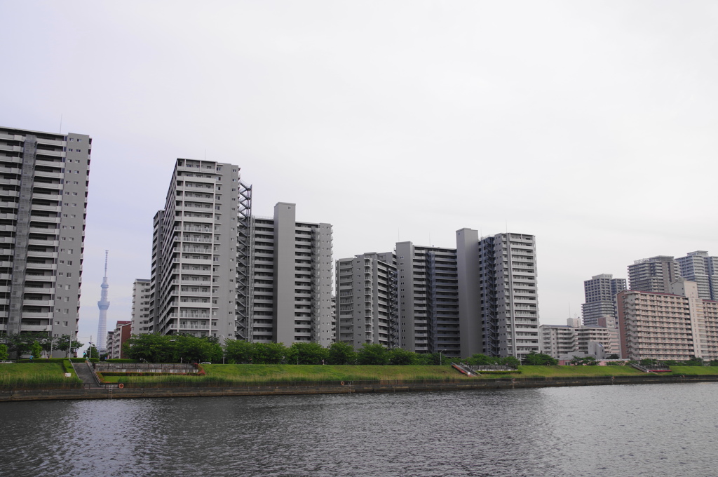 隅田川沿い