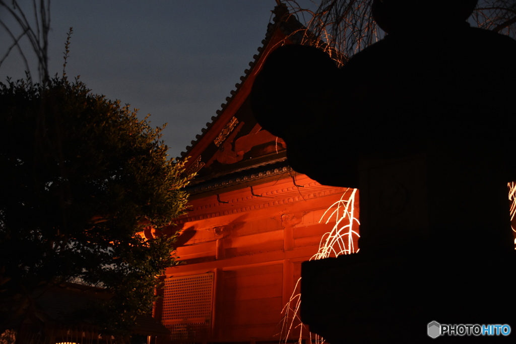 寛永寺清水観音堂ーⅲ