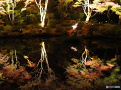 思い出の円通院。