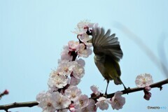 見ないでよ～