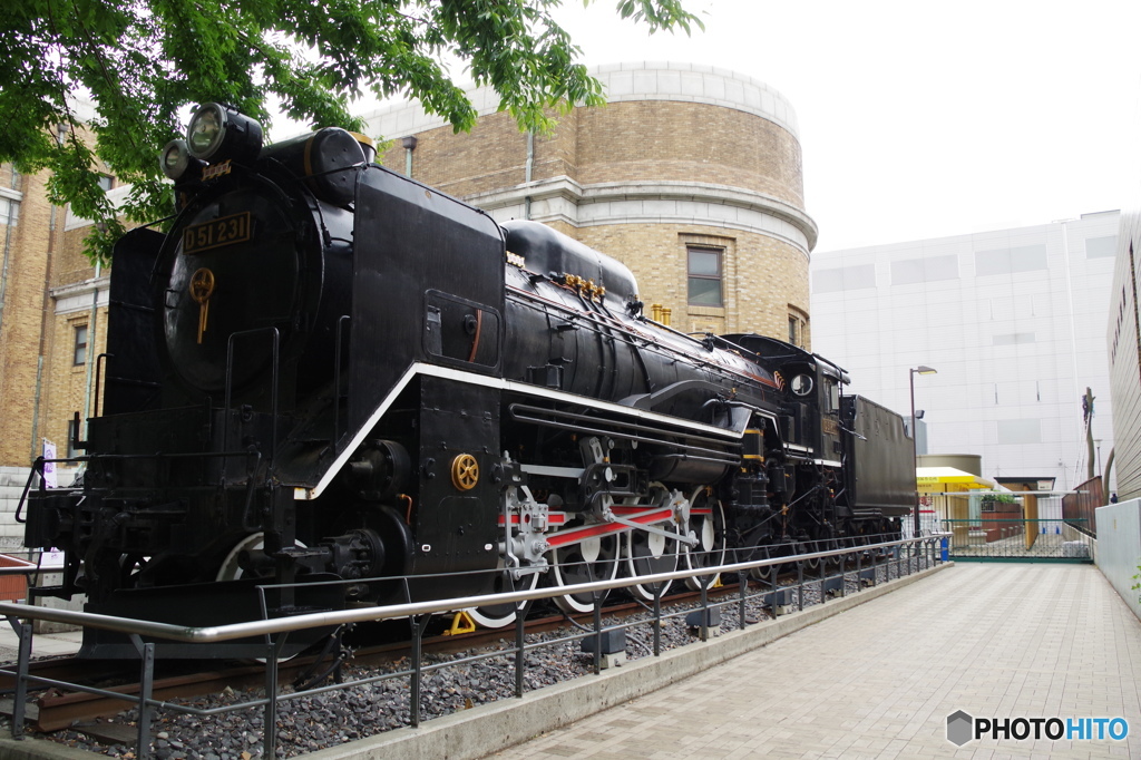 D51