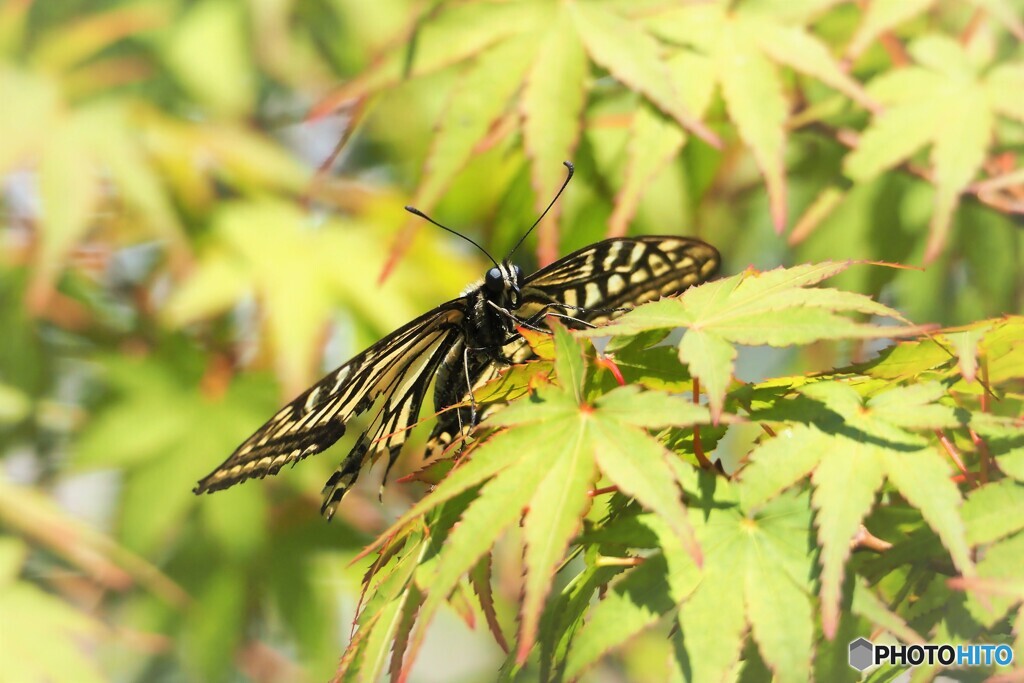 休息