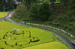 田んぼアートー４
