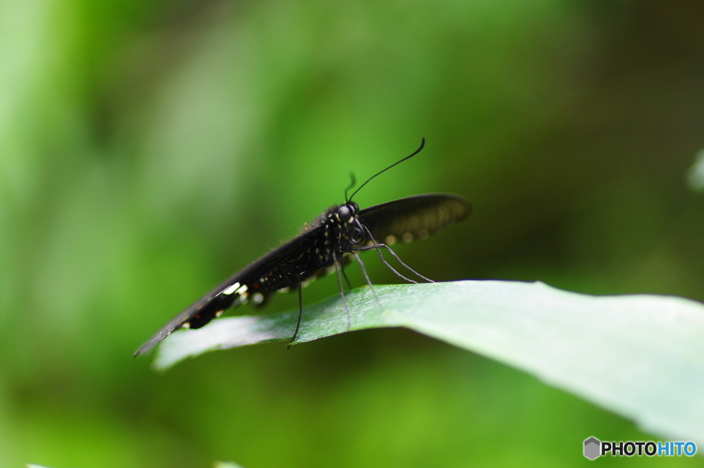 生物園ー17