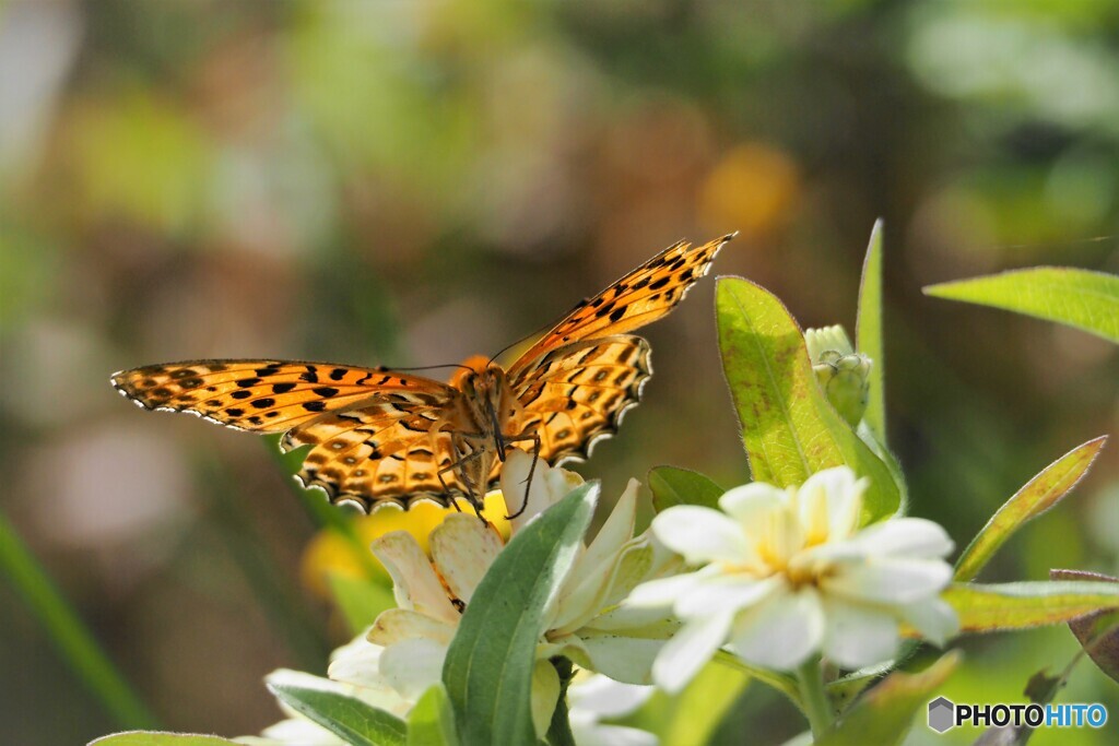 気持ちいい！！