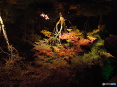旅先より「昨夜の感動」ー②