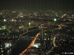 夜の汐入公園付近。