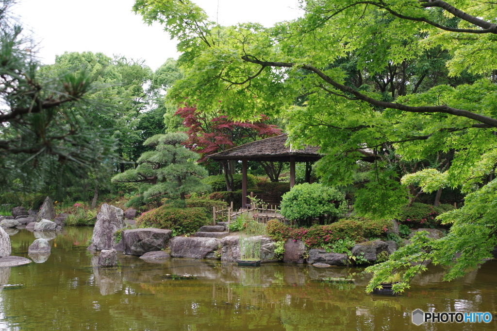 桜花亭ーⅢ