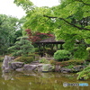 桜花亭ーⅢ