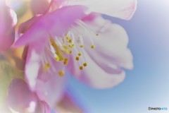 昨年の１月ー４
