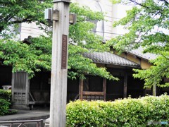 曳舟川親水公園～③