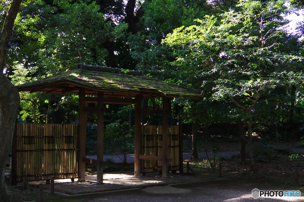 日本庭園へ