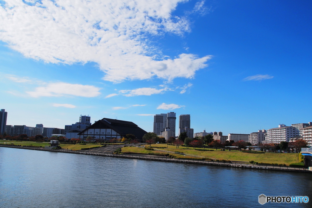 快晴の汐入公園