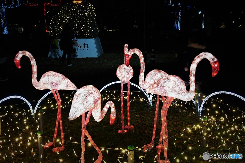 ―光の祭典ー～ⅷ