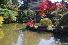 輪王寺の秋ー②