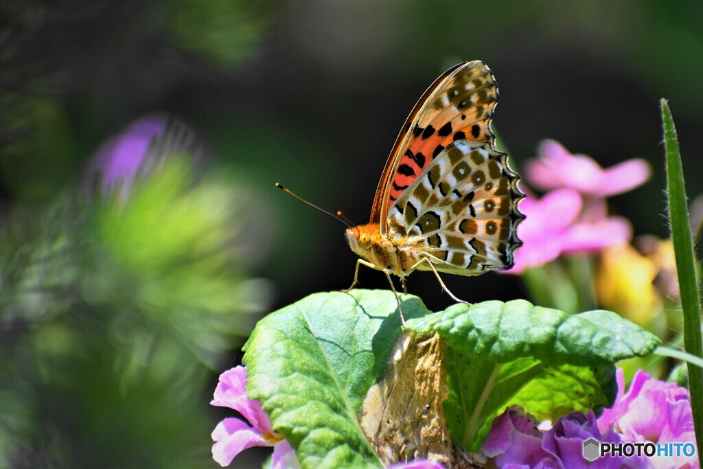 今年もよろしく！！