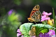 今年もよろしく！！