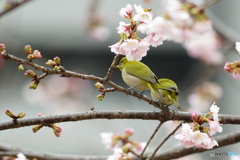 次の食事は何処でしようか～