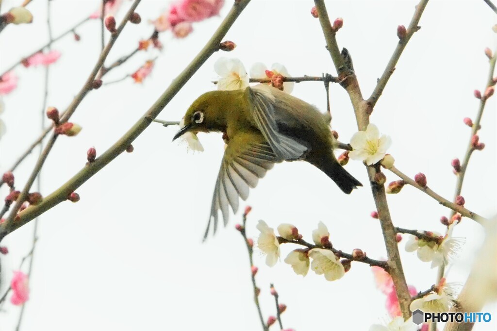 あばよ～。