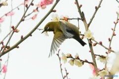 あばよ～。