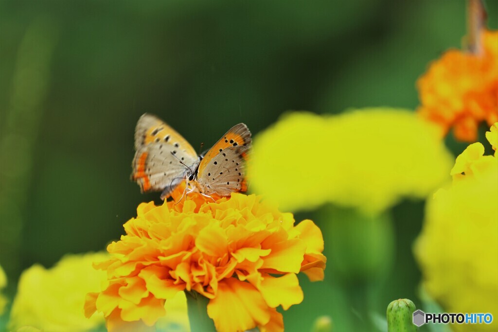 仲良くしようネ。