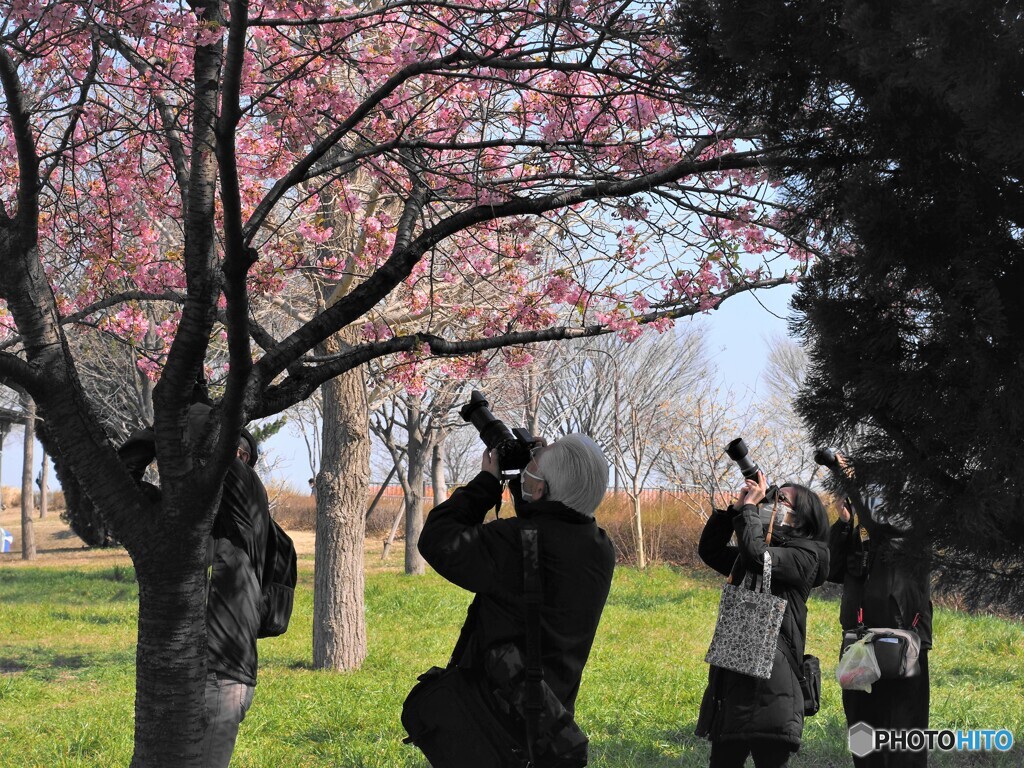 標的は？？