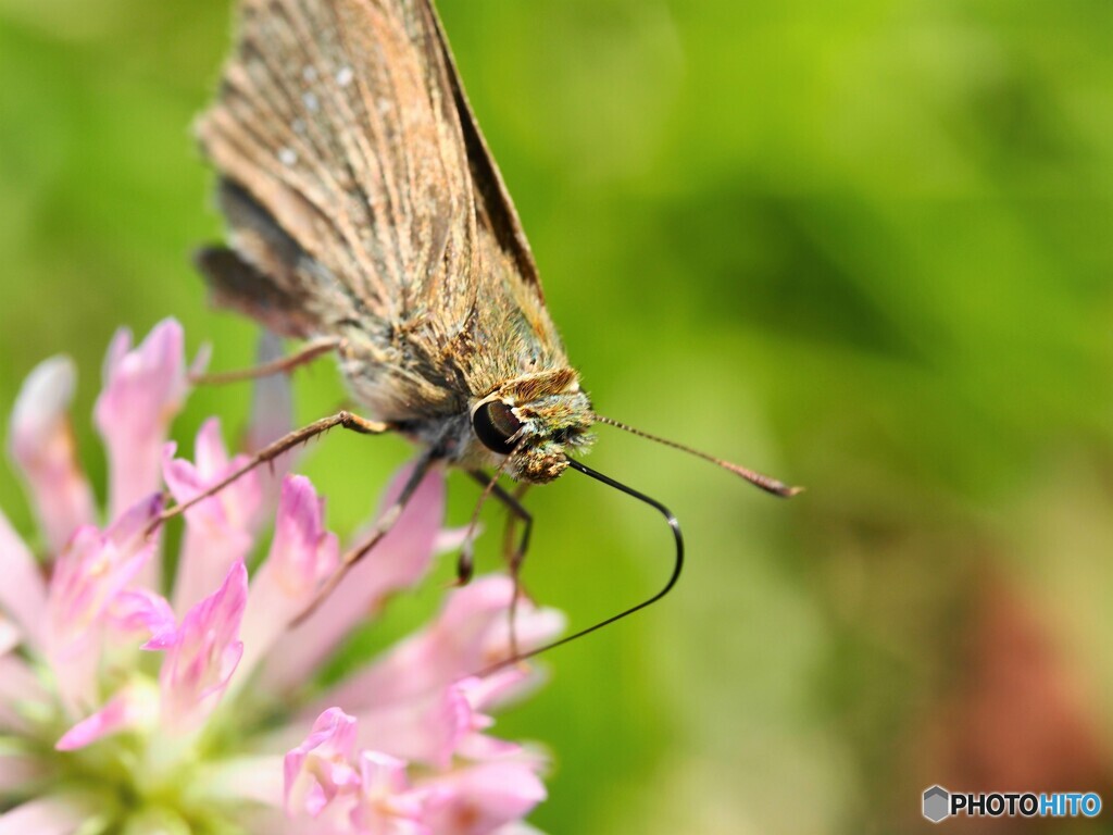 紅が好き、、、。