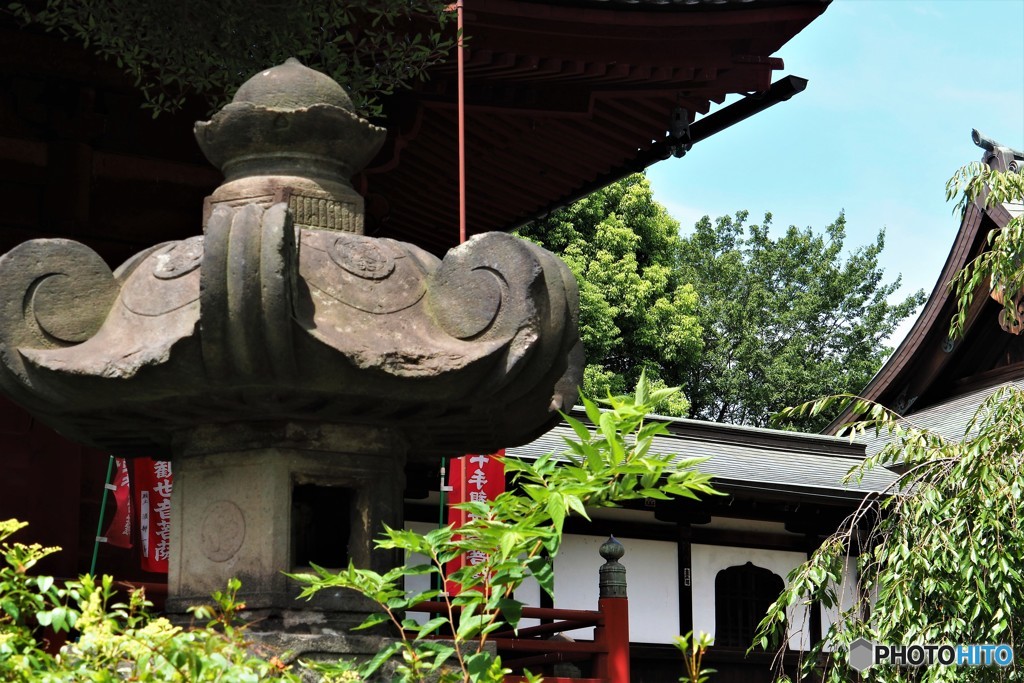 夏の上野、、、。