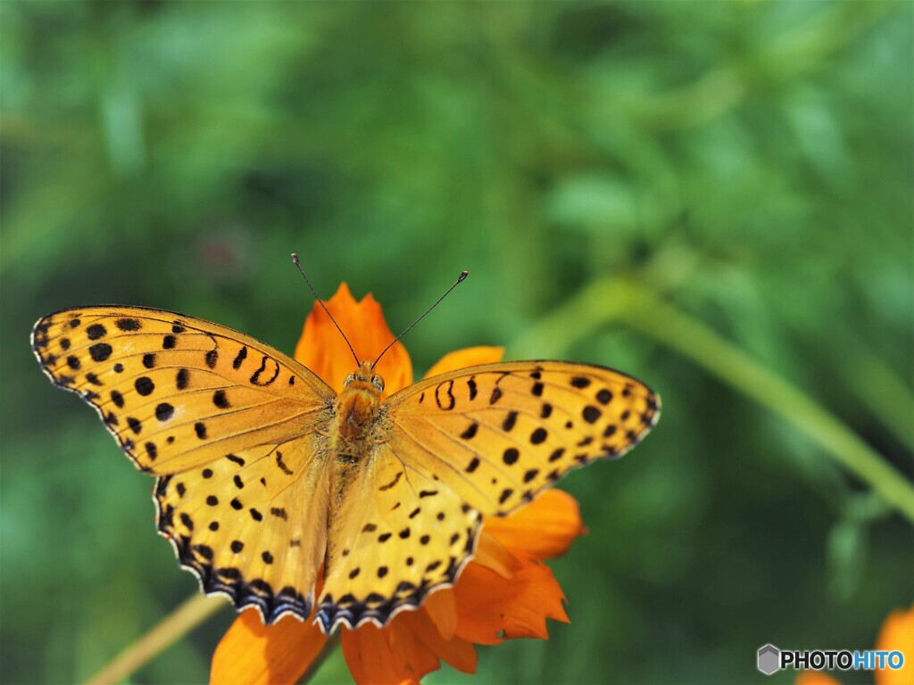 休憩