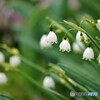 春のときめき～ⅲ