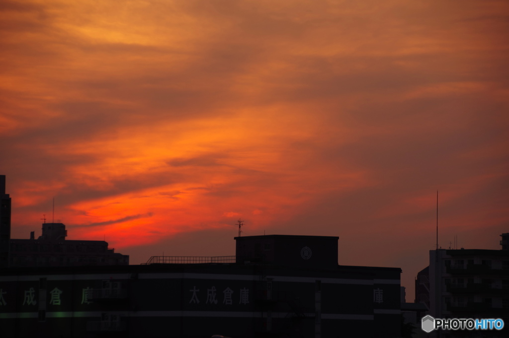 今日の汐入夕日－２
