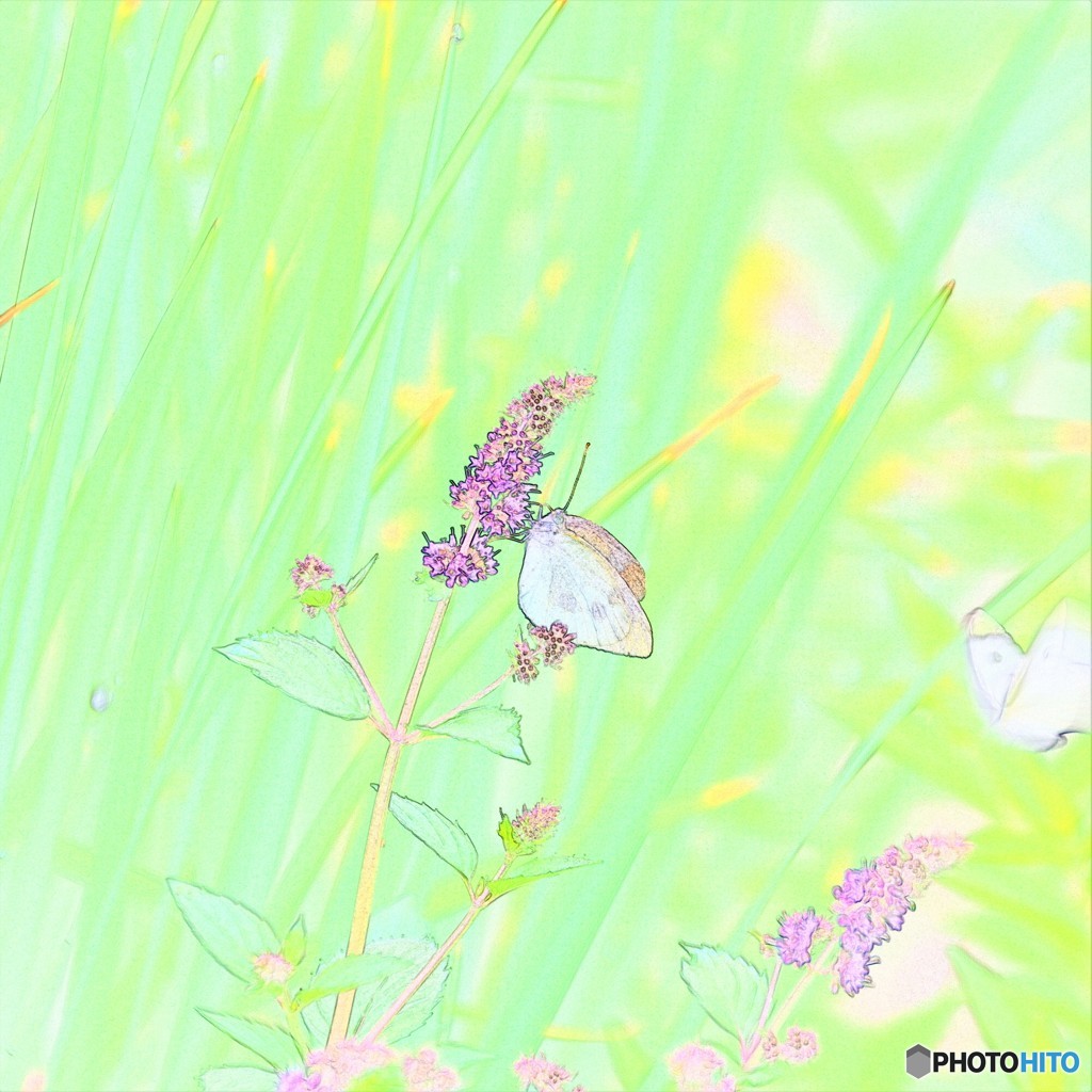 お蔵の中より、、、。
