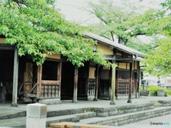 曳舟川親水公園～②