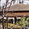 東屋と紅梅、、、。