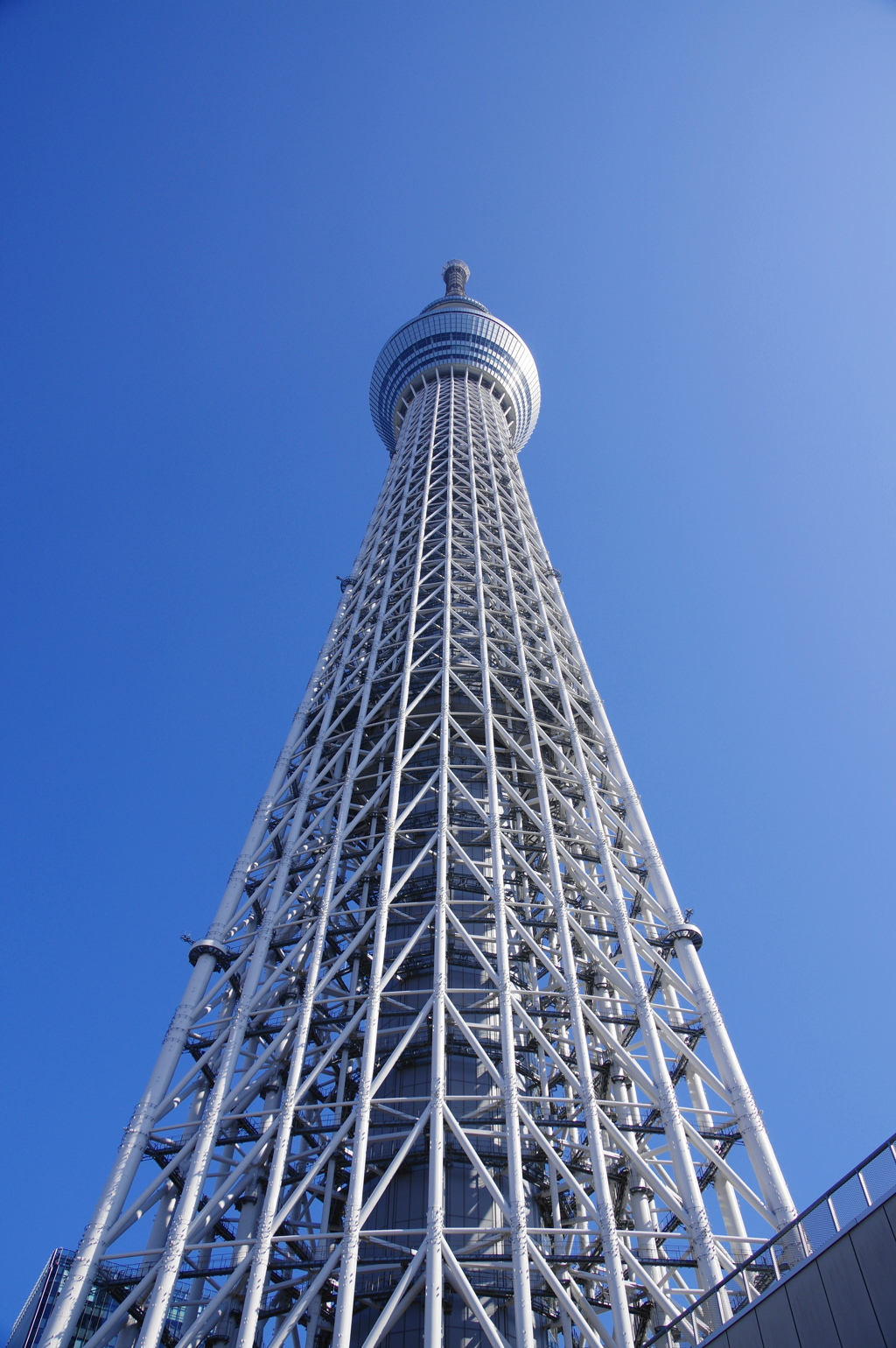 東京スカイツリー②