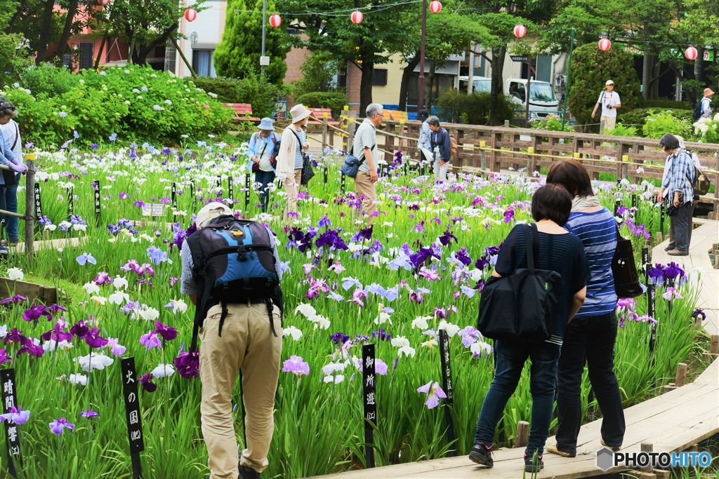 しょうぶ沼公園