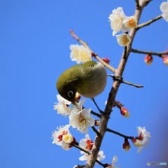 昨年同月のお蔵の中～②