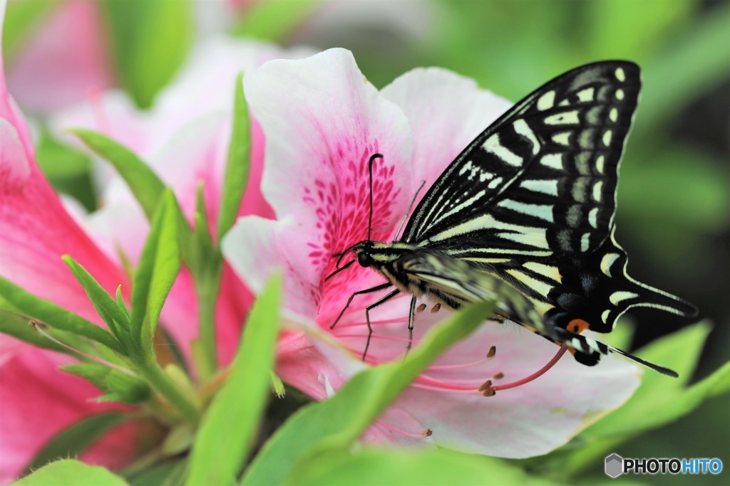 誘われて、、、！！