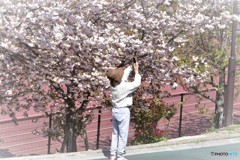 撮らせて～、、、。