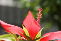 温和。