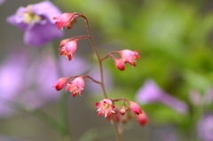 ９年も前の春 (1)