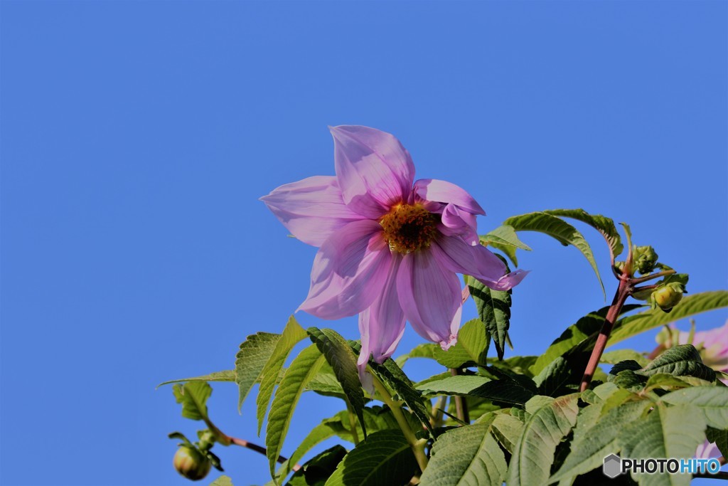 去年の今頃ー③