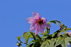 去年の今頃ー③ 去年の今頃ー③
